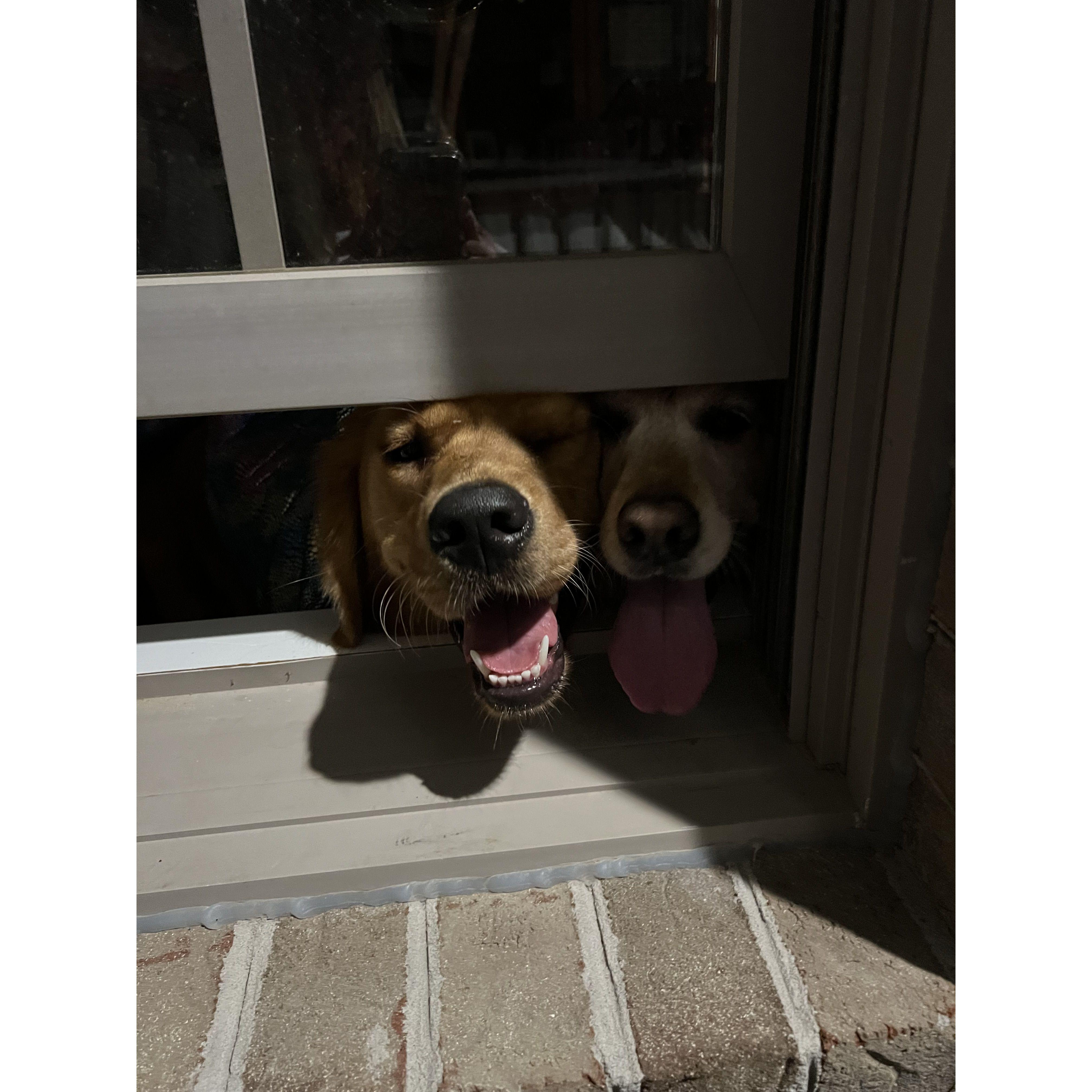 The girls, trapped inside on Halloween, found the little sliver of open window. Minutes later, Kelsey opened it and they climbed out together!
