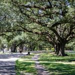 Audubon Park