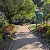 Morristown Green