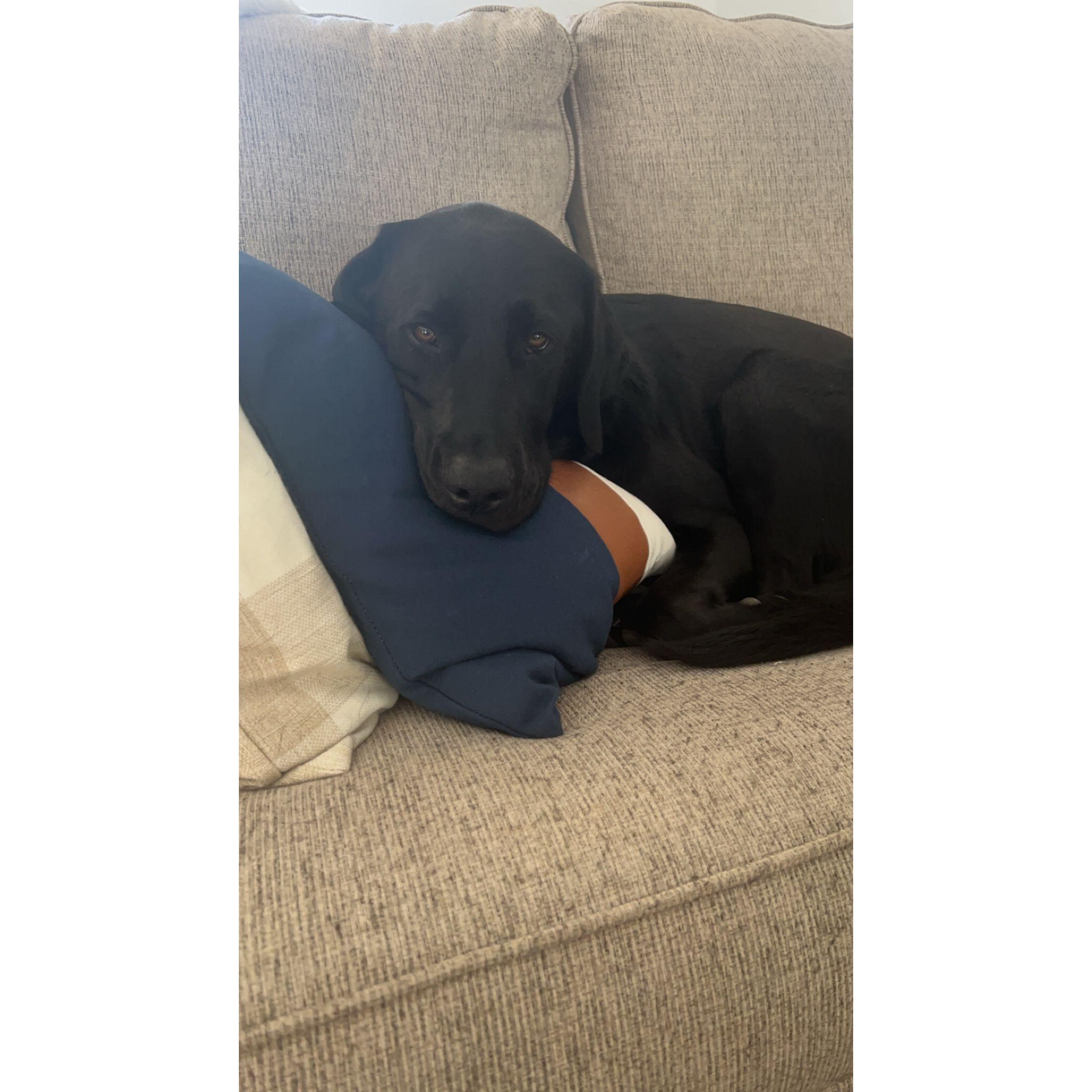 and the rest of our photo's are of this handsome boy