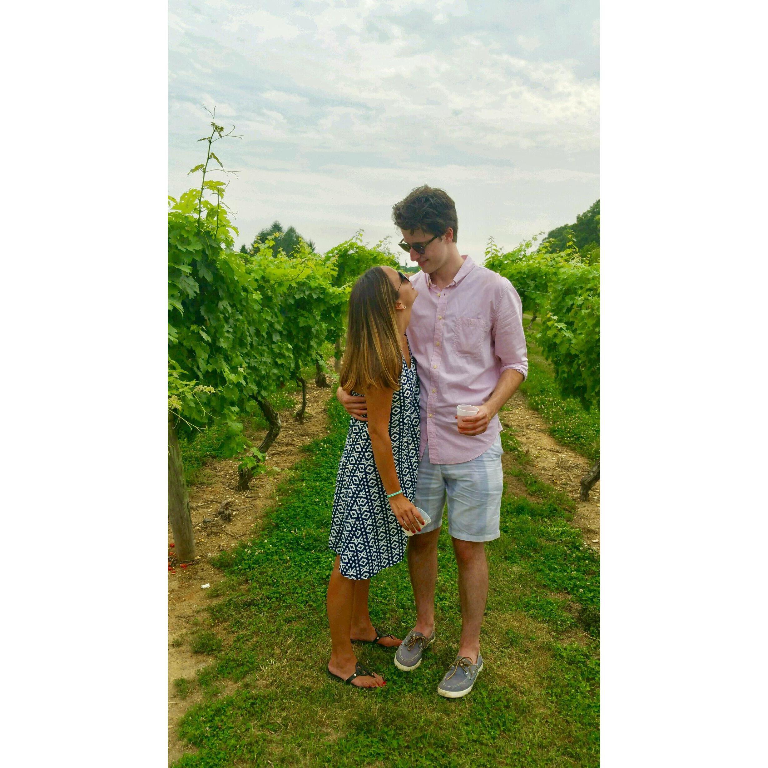 Our inspiration for wanting a vineyard wedding