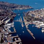 Ballard Locks Fish Ladder