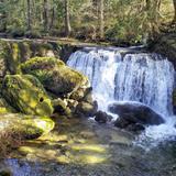 Whatcom Falls Park