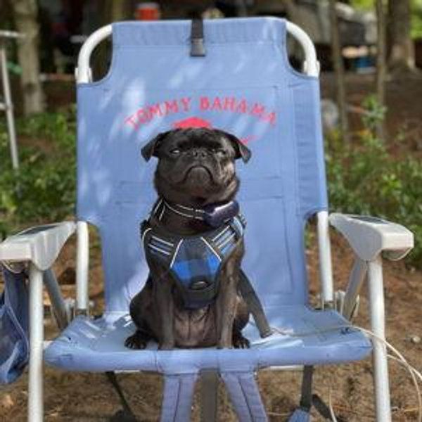 Pamper our pups!