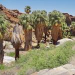 Hiking the Canyons