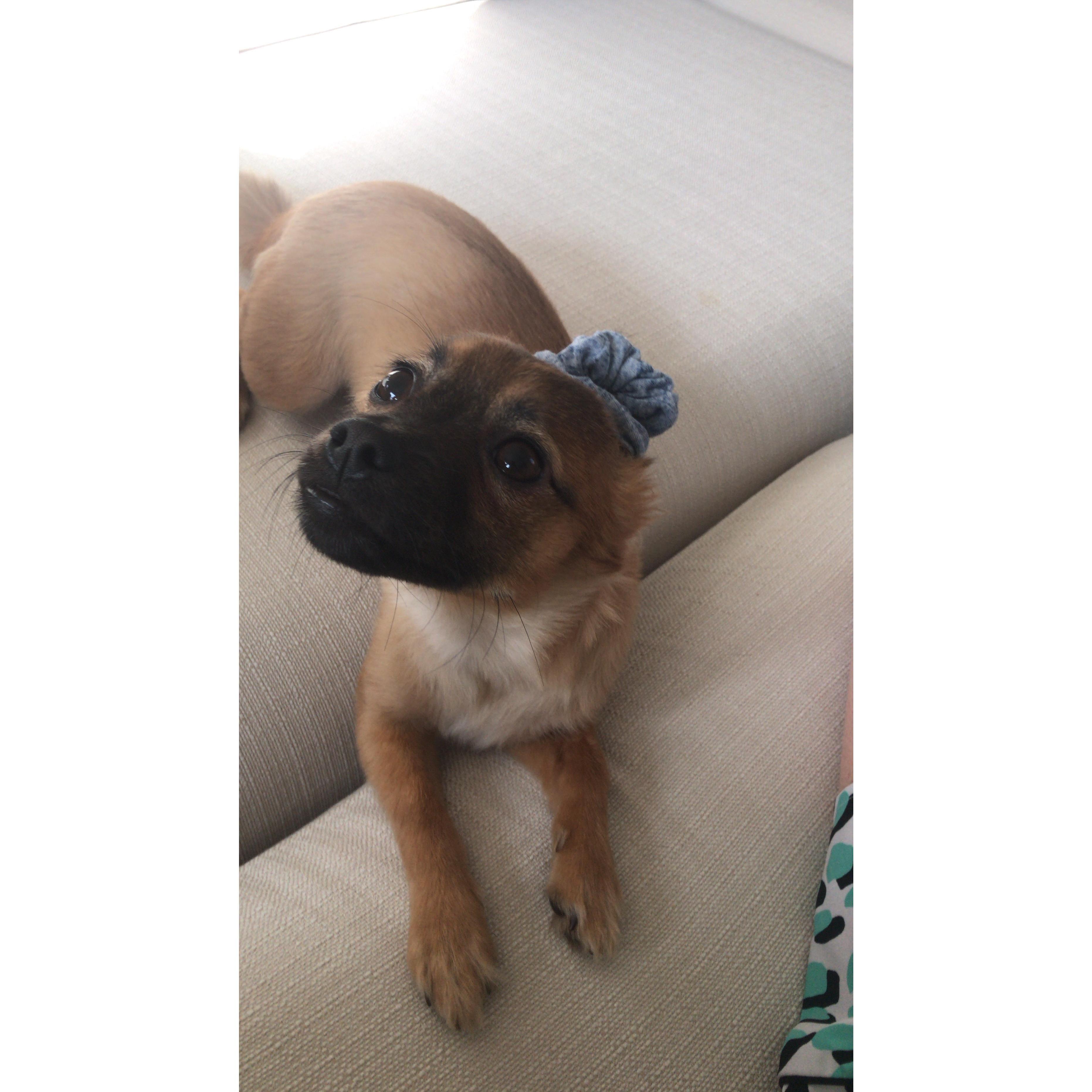 Our bebe Reilly!