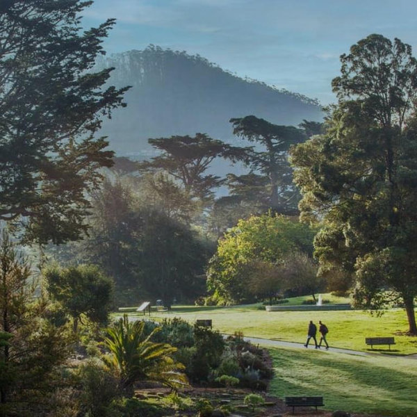 San Francisco Botanical Gardens