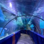Greater Cleveland Aquarium