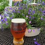 Flood Zone Marketplace & Brewery