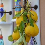 Path of the Lemons