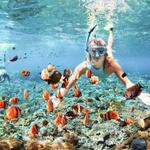 Snorkeling at Hanauma Bay