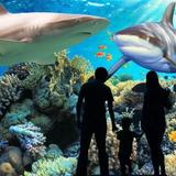 National Aquarium