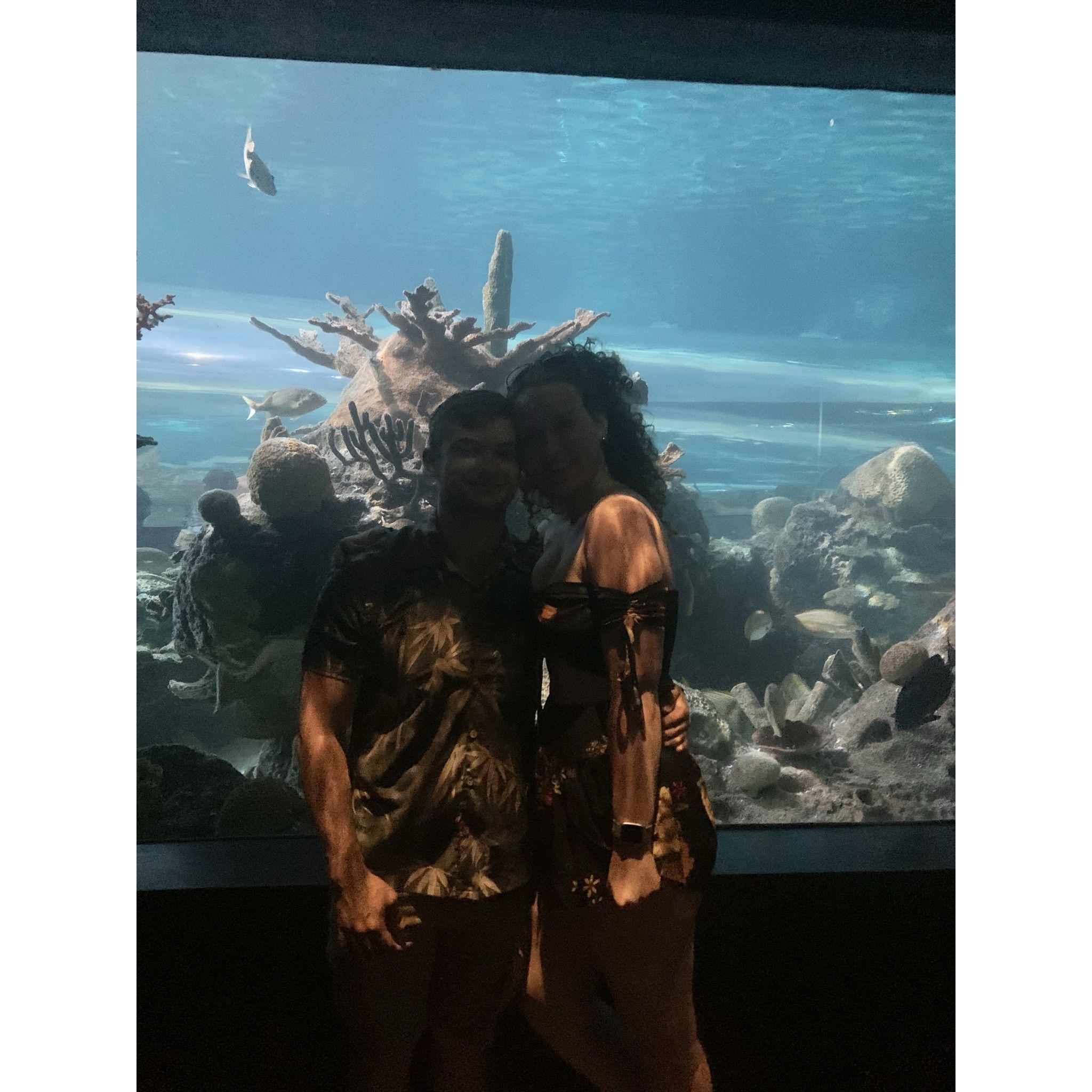 The aquarium in Tennessee