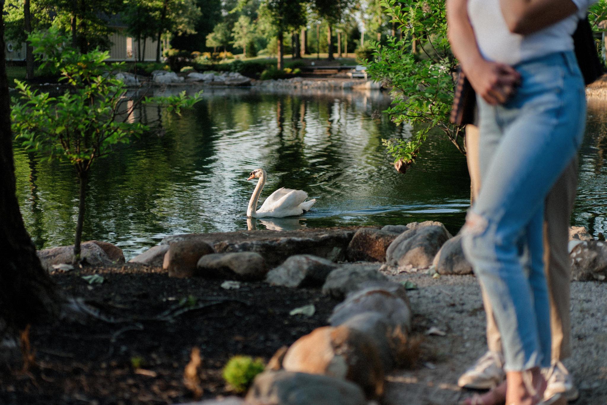 The Wedding Website of Zack Pirik and Molly Morrow