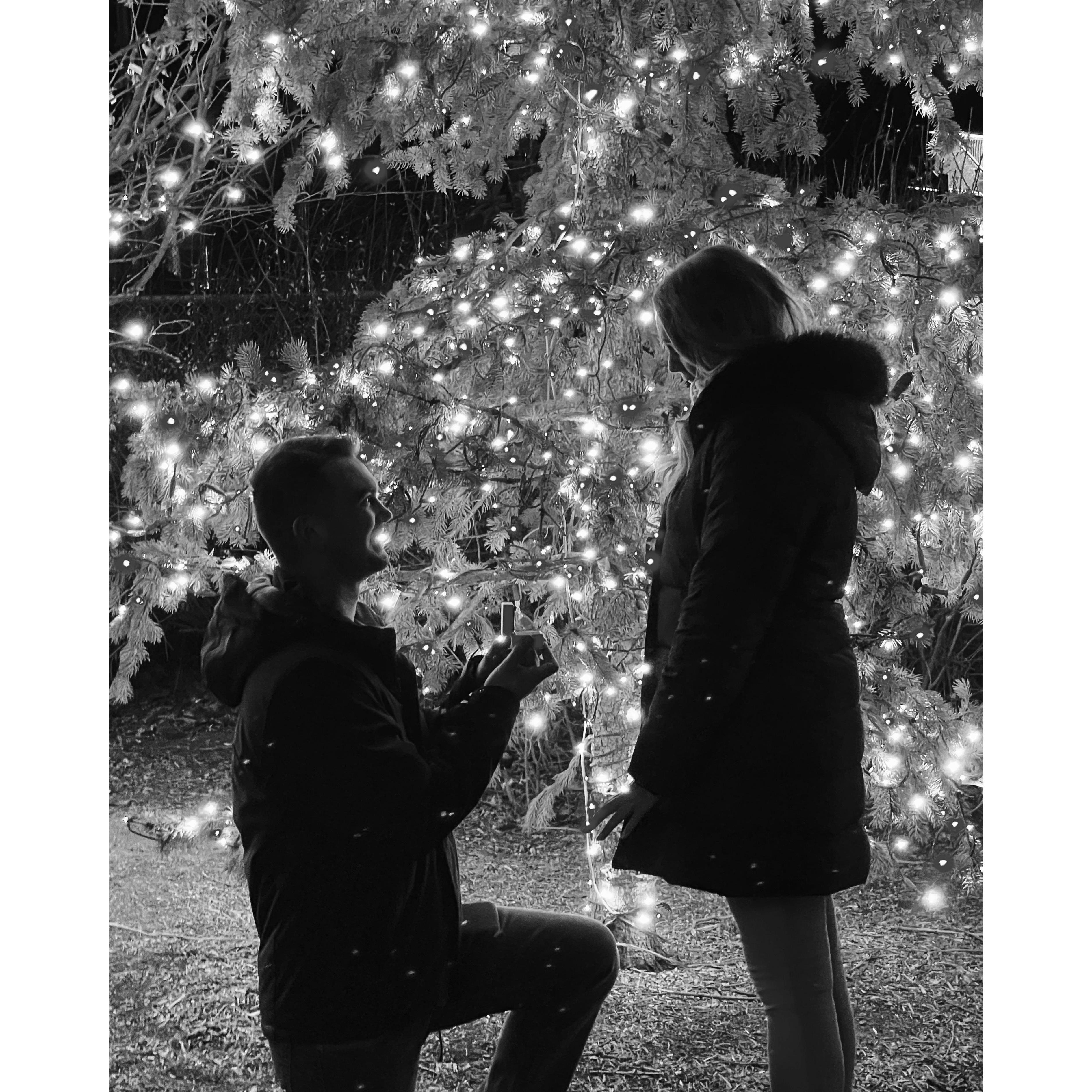 The best moment ever!