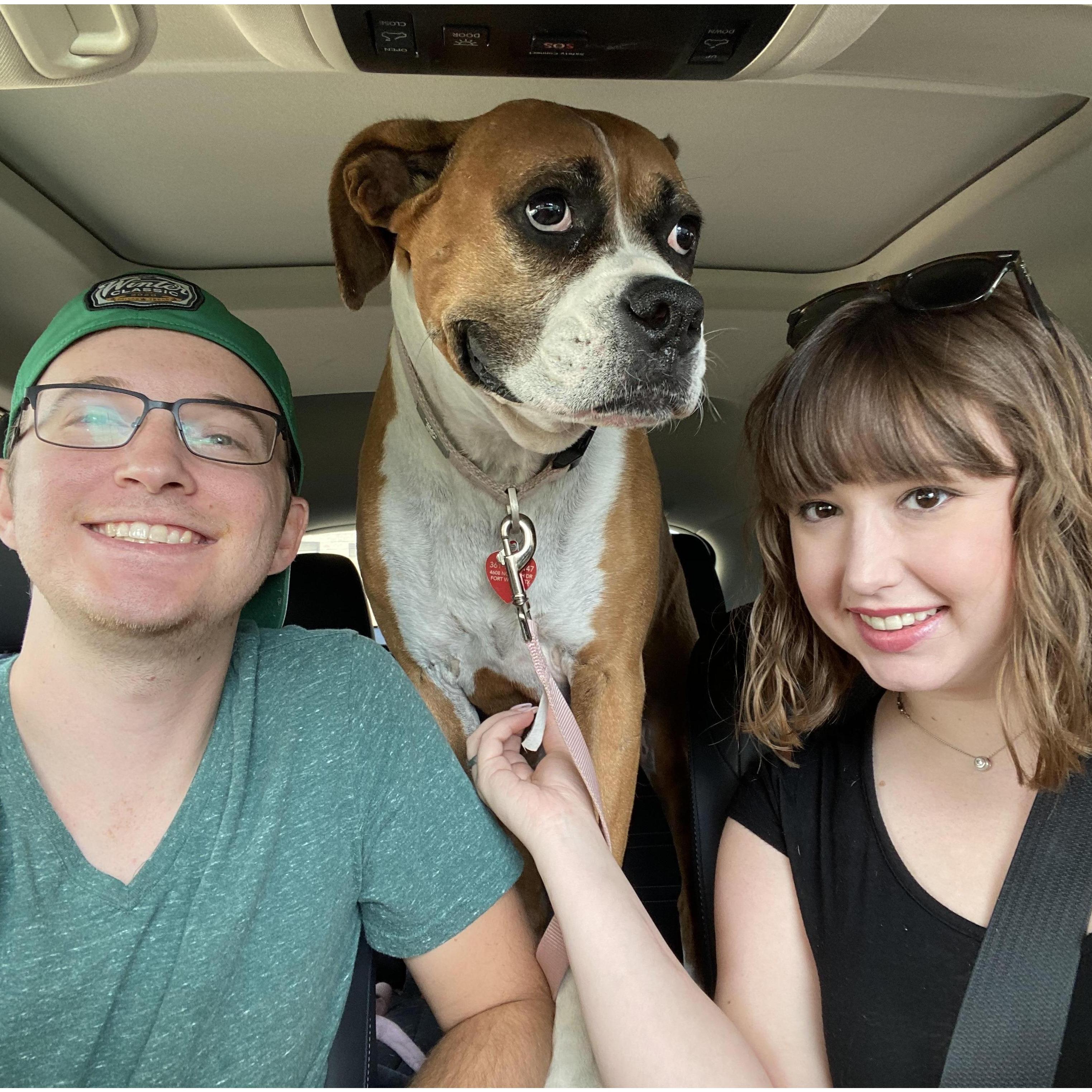 Going on a Sunday adventure with Nessie the dog