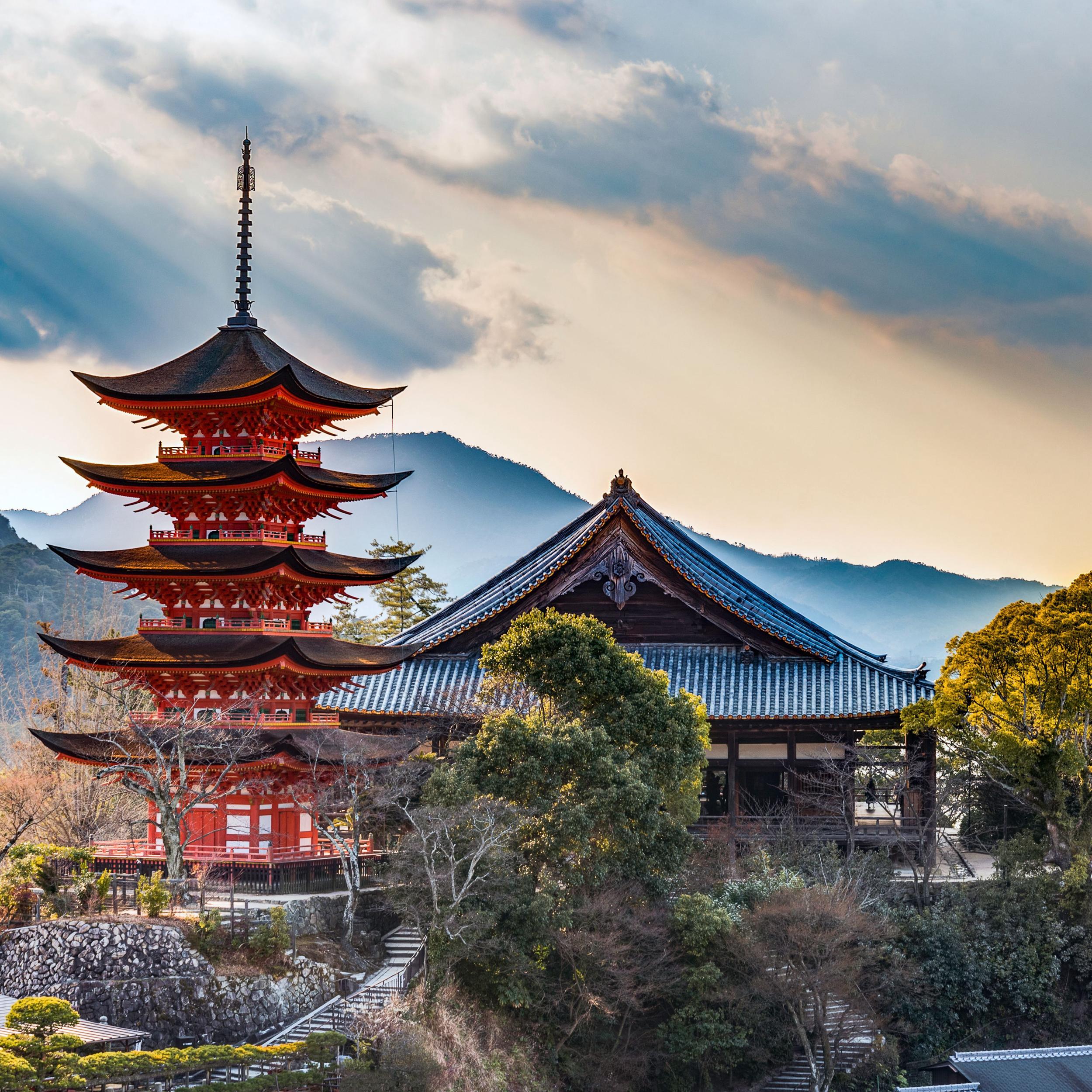 Donate to our Japan honeymoon!