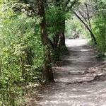 Barton Creek Greenbelt Trail