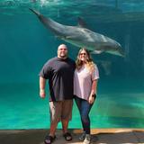 Gulfarium Marine Adventure Park