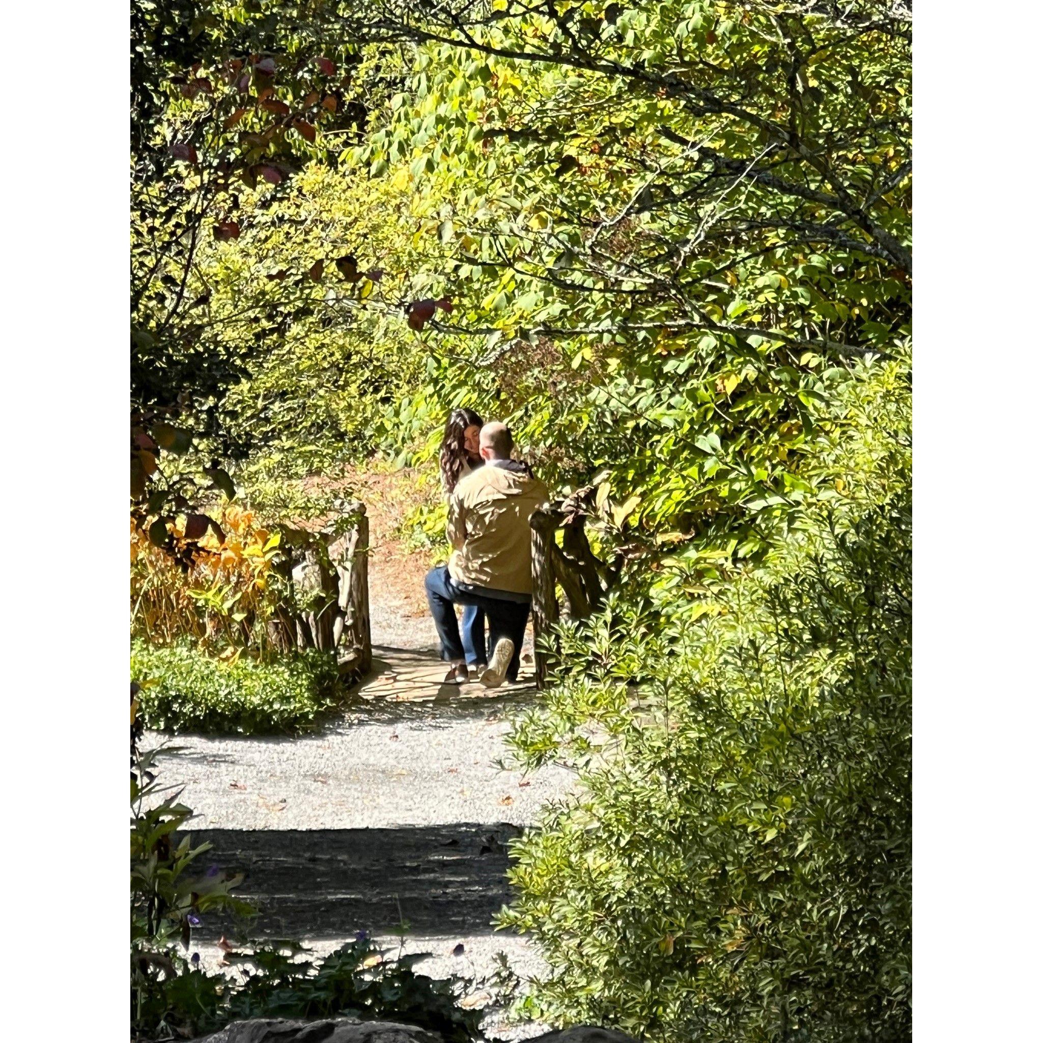Surprise proposal at the Biltmore!