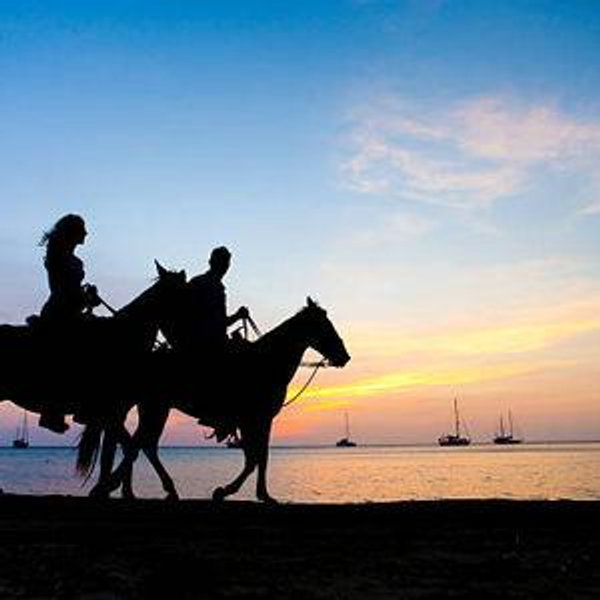 Horseback Riding for Two on Honeymoon