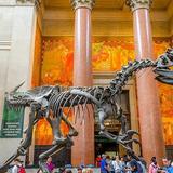 American Museum of Natural History