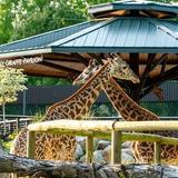 Potawatomi Zoo
