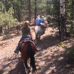 Horseback Riding