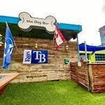 The Dog Bar