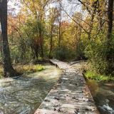 1000 Islands Environmental Center