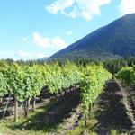Recline Ridge Winery
