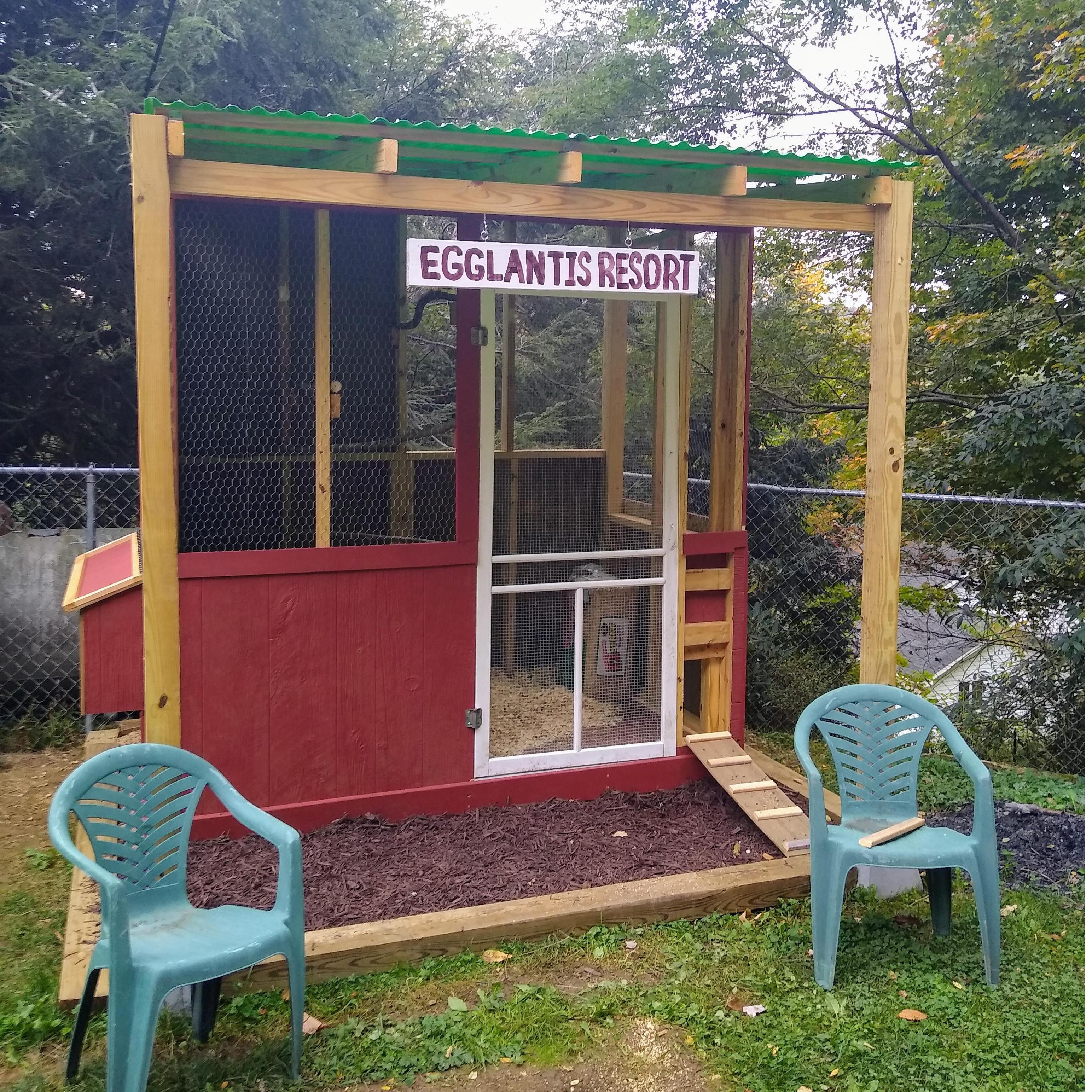 Poultry Luxury