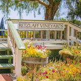 Retzlaff Vineyards