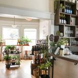 Bottlehouse