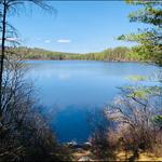 Lily Pond Trail
