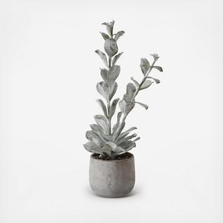 Faux Succulent in Cement Pot