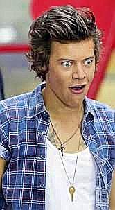 The Wedding Website of sharah marie perry monroe rife and harry edward styles