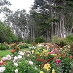 Mendocino Coast Botanical Gardens