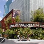 The Dallas World Aquarium