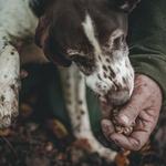 Truffle Hunting Experience