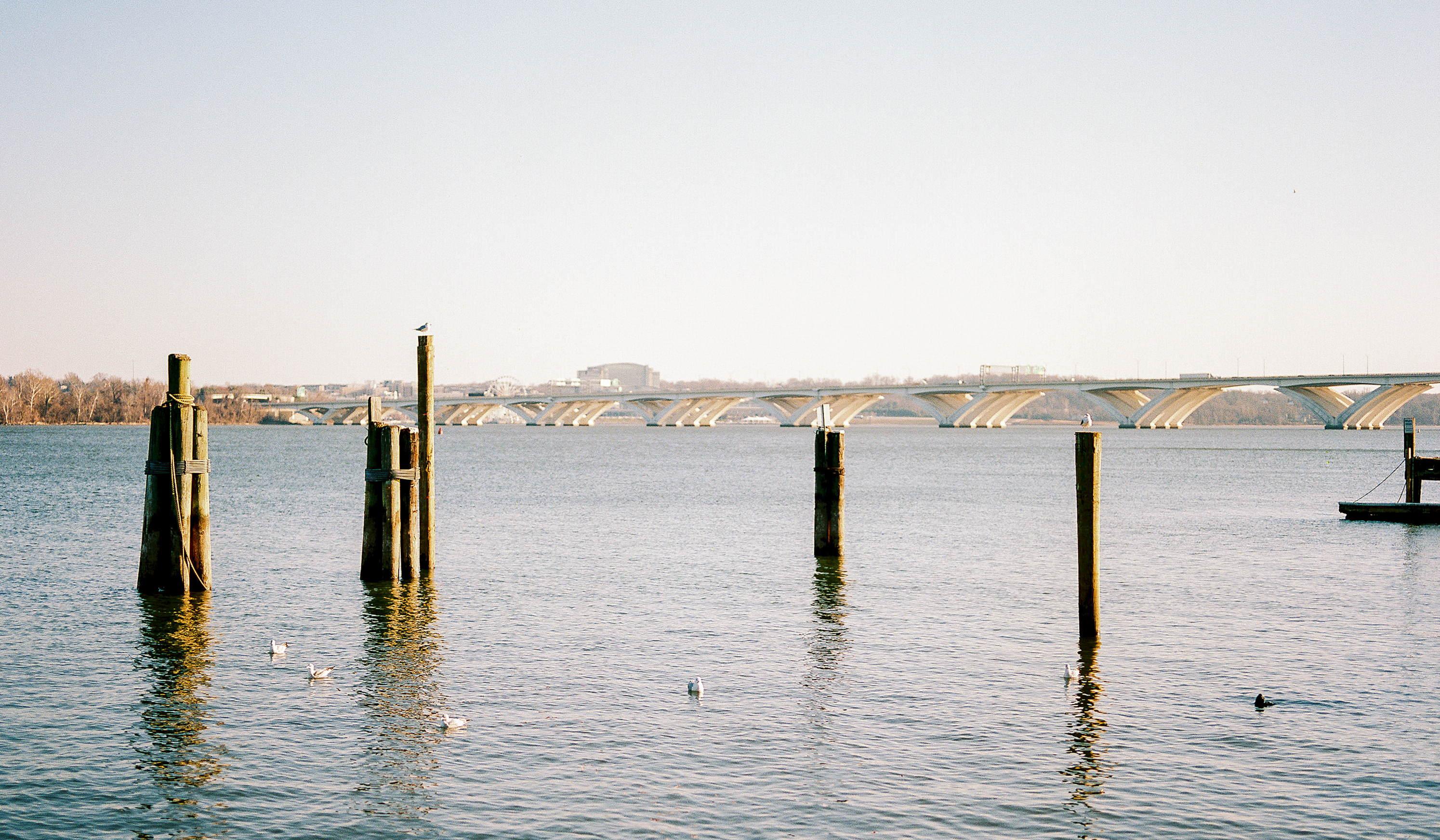 Footer image