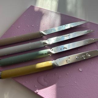 The 5-Piece Table Knife Set