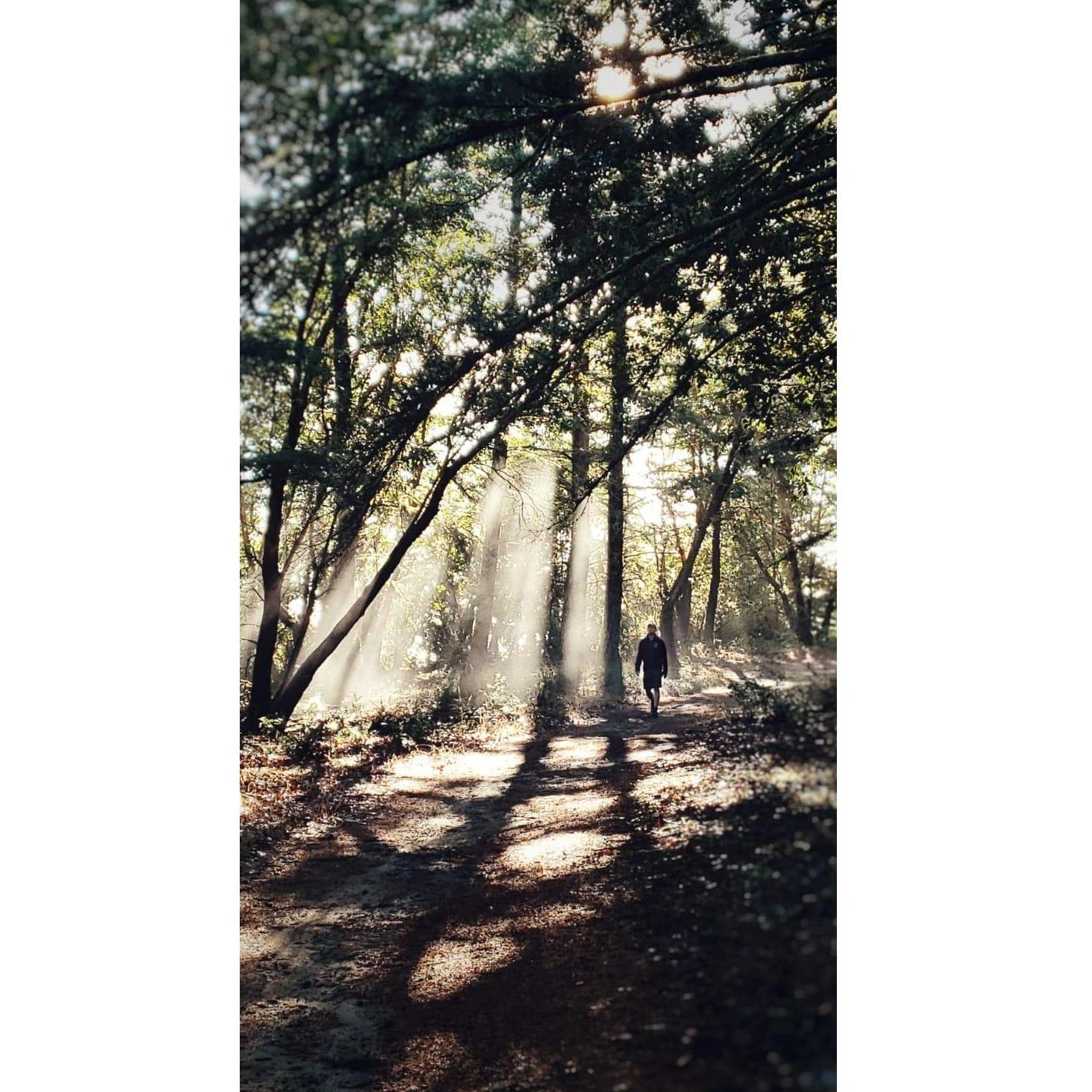 California light....the best kind.