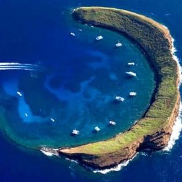 Snorkeling at Molokini Crater in Maui