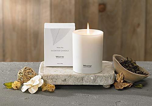 Westin White Tea Candle - Hand-Poured, Soy Candle with Signature White Tea Scent -12.5 oz.