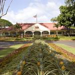 Dole Plantation