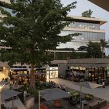 Coconut Grove