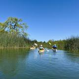 Kayaking