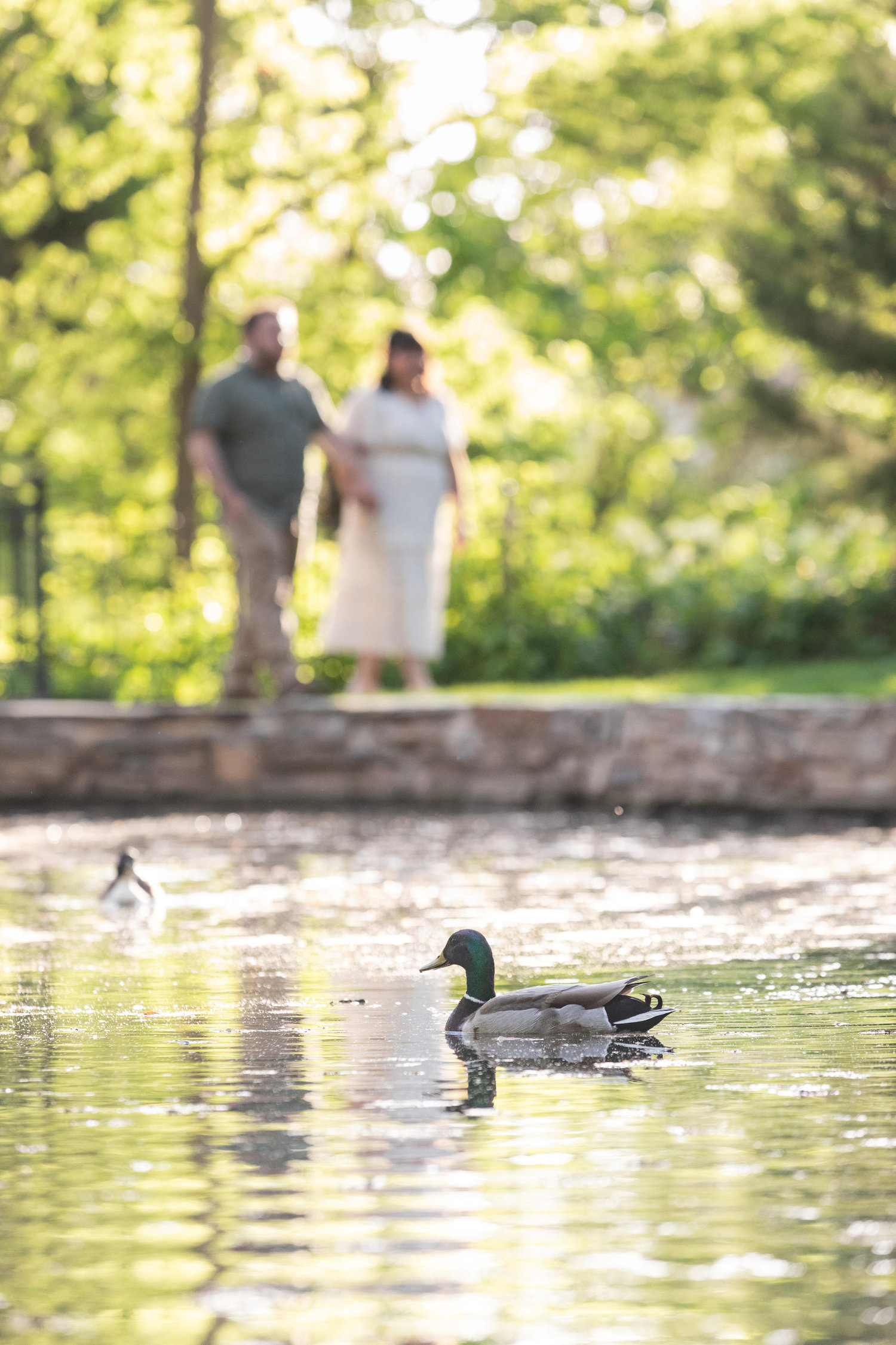 The Wedding Website of Kiersten McCarthy and Drew Krommenhoek