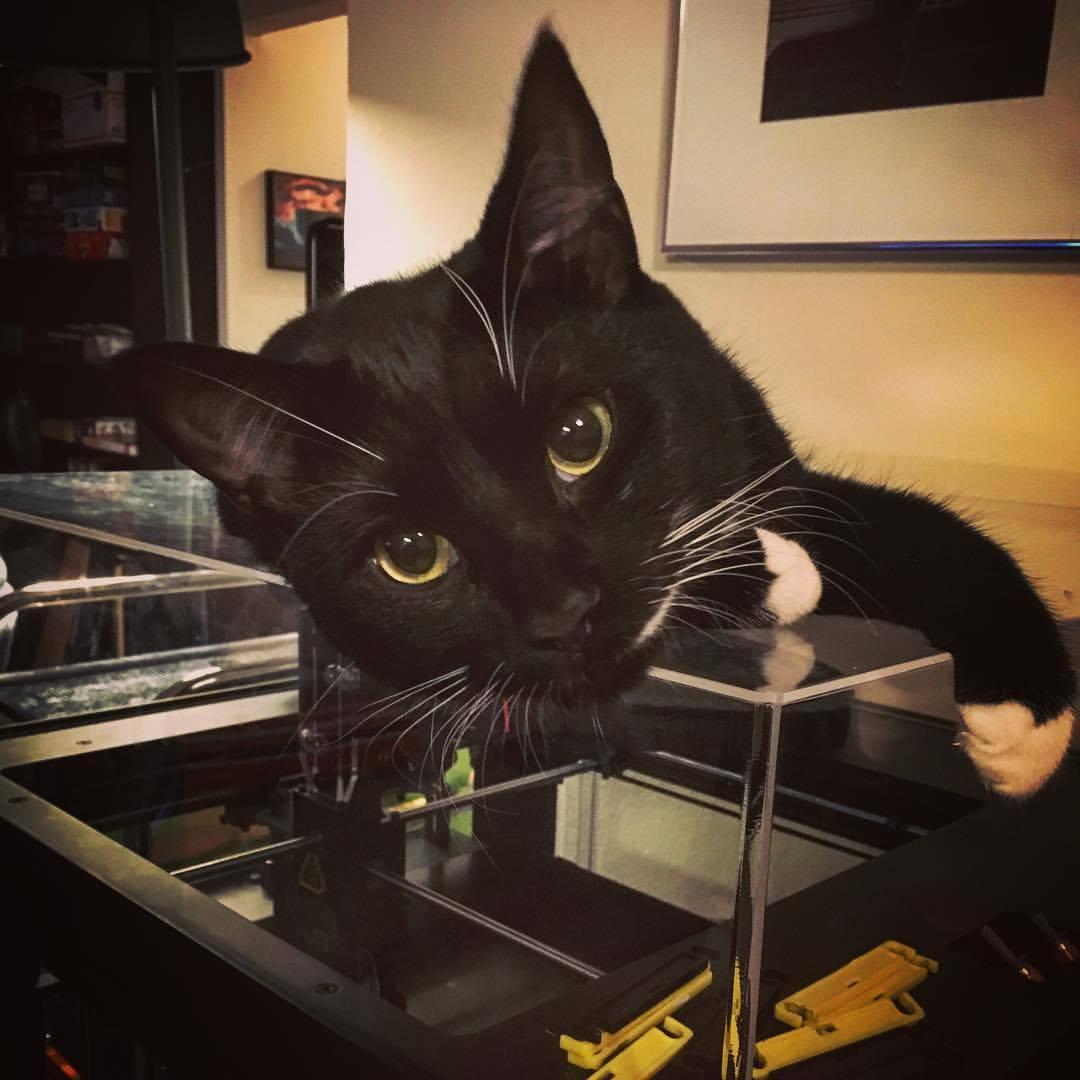 Our very first furbaby - Buffy